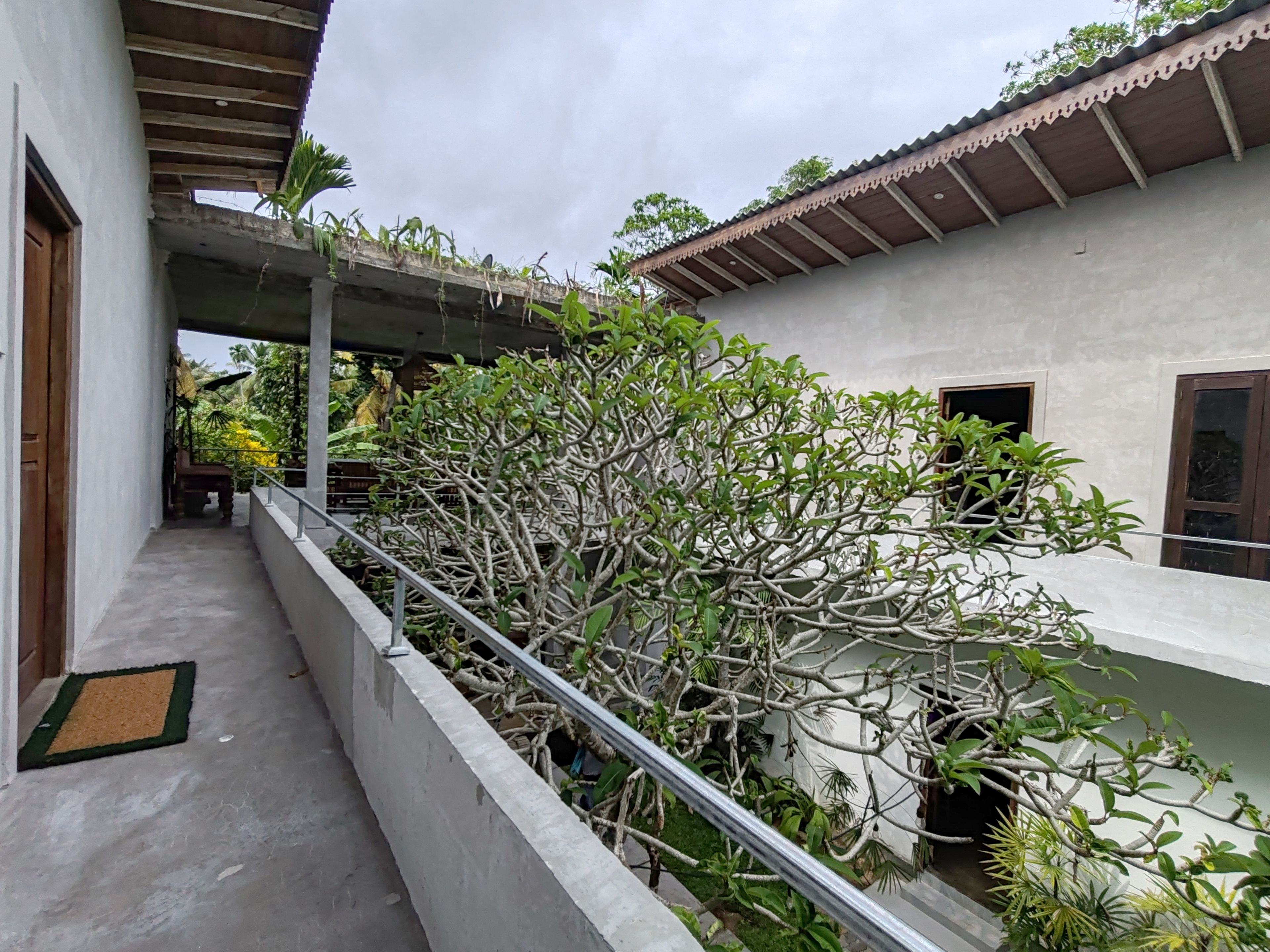 A building with a concrete balcony, a metal railing, and a variety of plants.