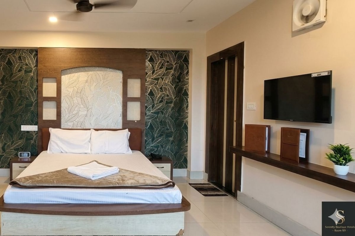 Quarto de hotel com uma cama, televisão, relógio e planta.
