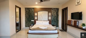 Quarto de hotel com uma cama, televisão, relógio e planta.