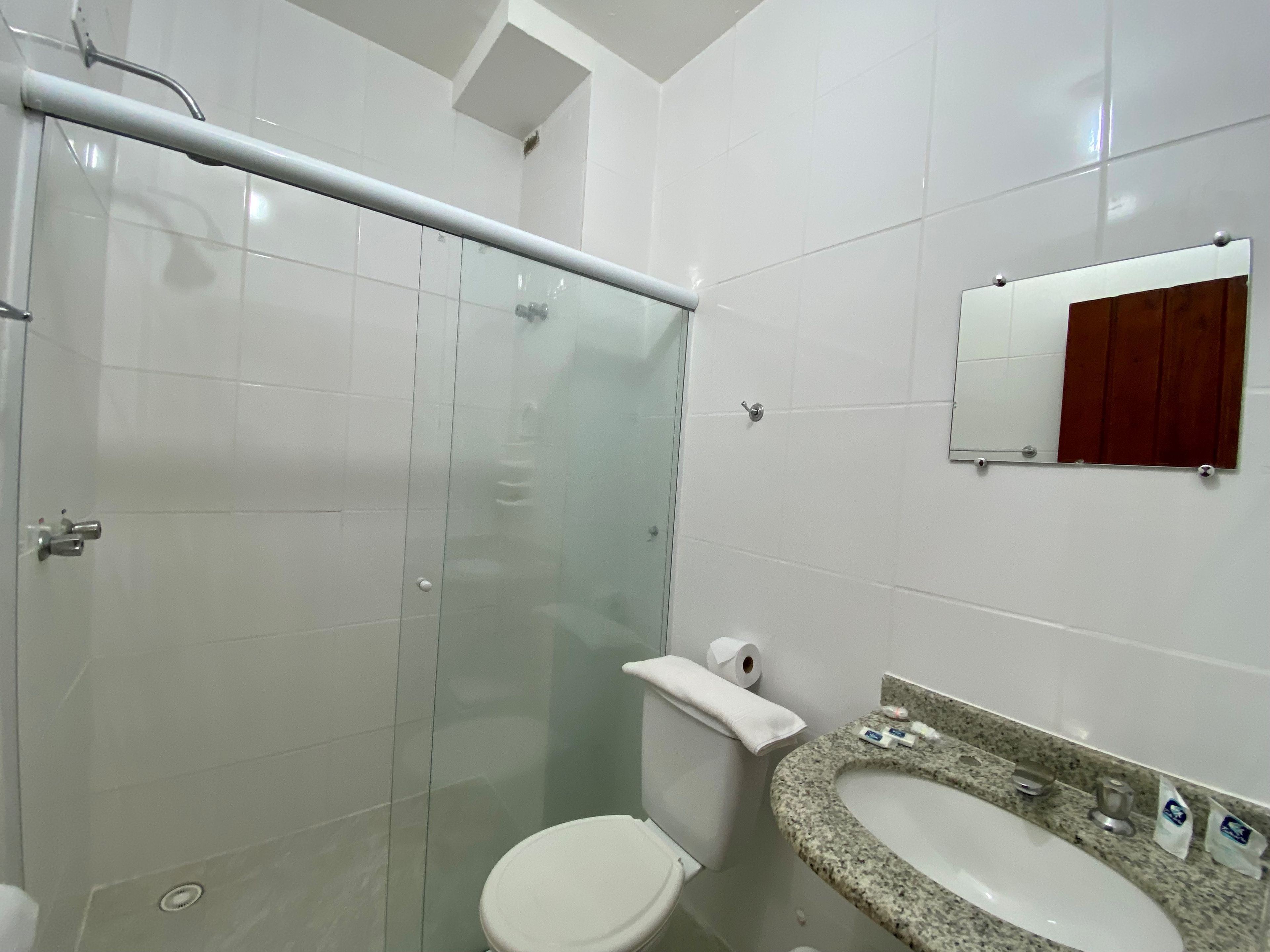 A bathroom with a glass shower enclosure, a toilet, a sink with a granite countertop, and a mirror with a wooden frame.