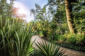 A garden pathway surrounded by lush greenery and trees.