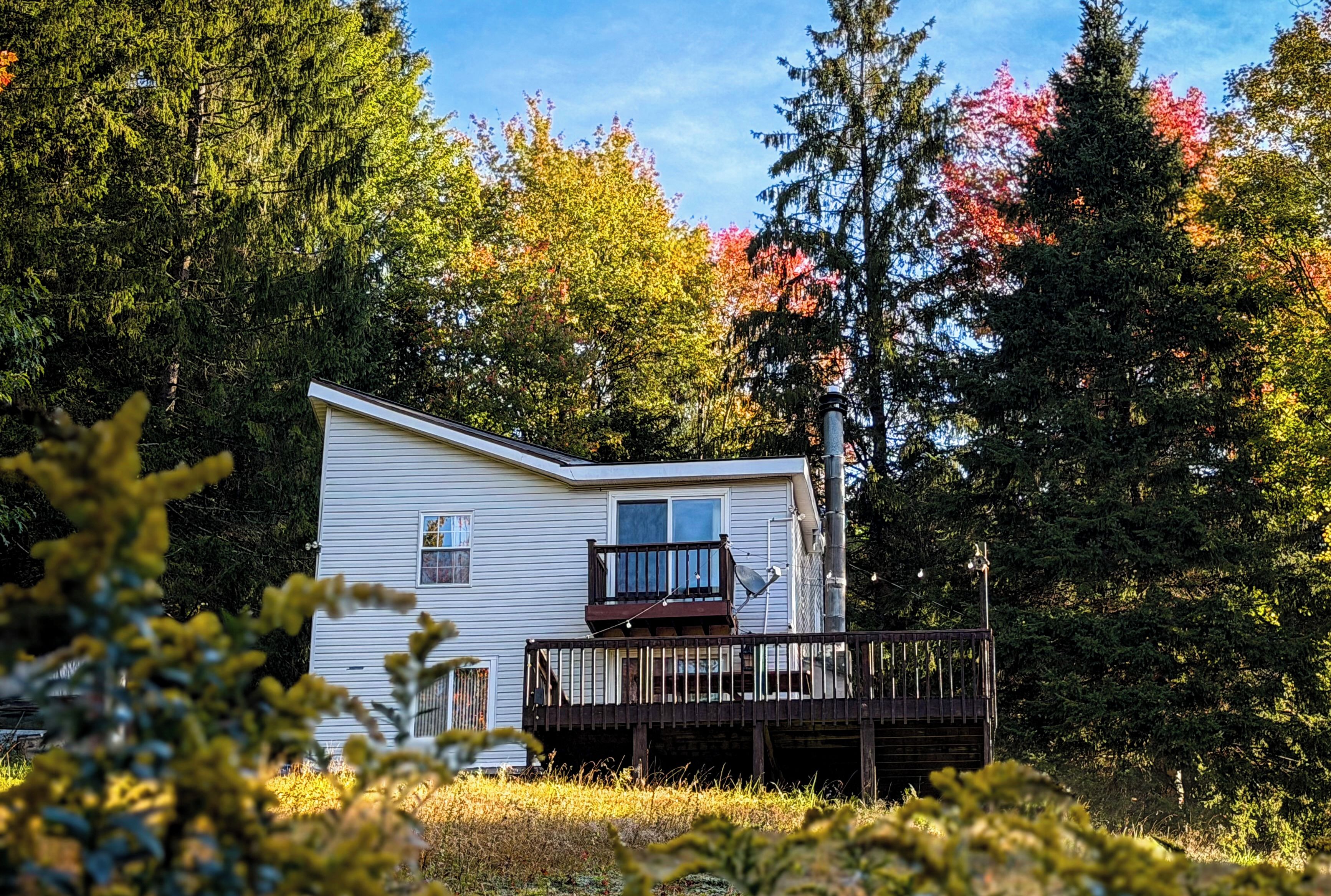 A single-story cabin with a balcony, surrounded by dense forest.