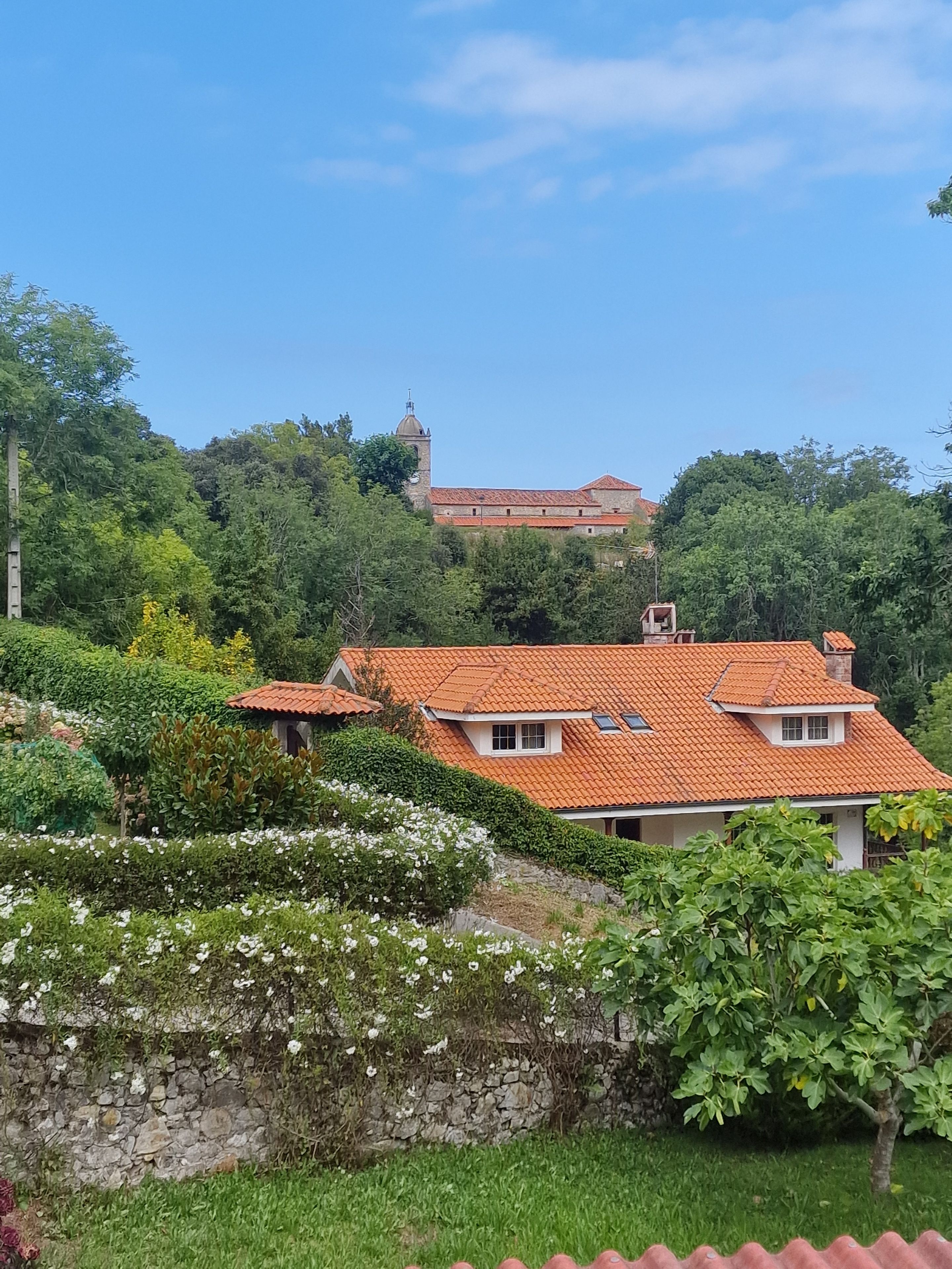 Udendørsområde