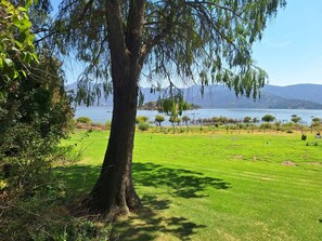 A grassy field with a large tree in the foreground and a body of water in the background.