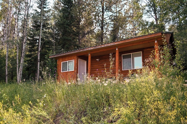 A wooden cabin with two windows and a door, surrounded by dense forest and tall trees.