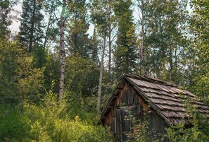 A rustic wooden cabin surrounded by dense forest.