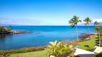 A coastal view with a clear sky, a grassy area with palm trees, and a rocky shoreline.