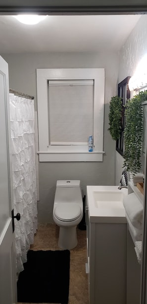 A compact bathroom with a toilet, sink, and window. - Three Rivers Retreat (Lake City)