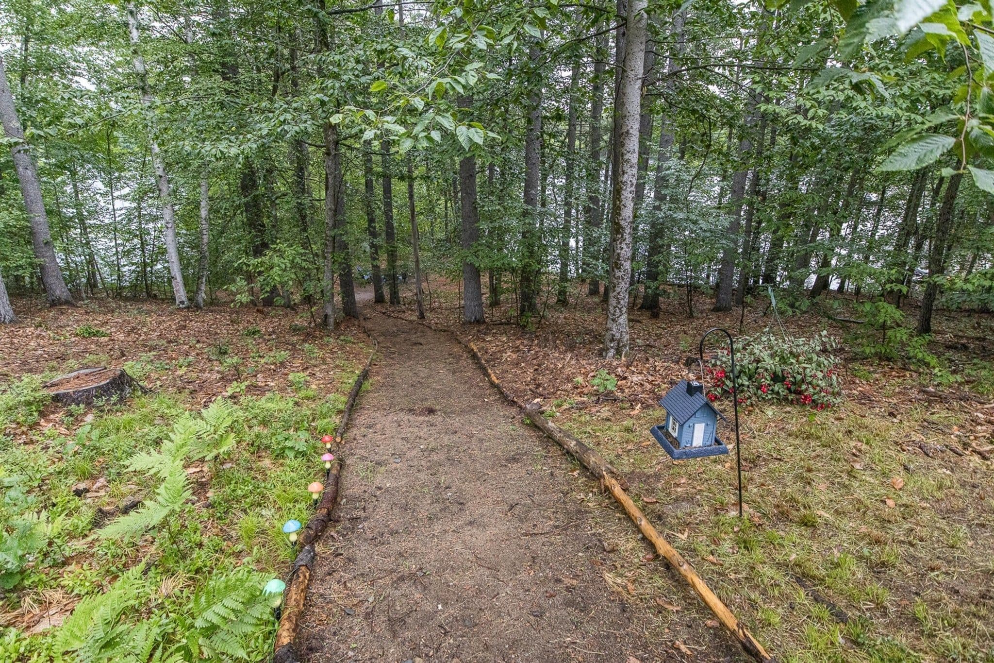A forested area with a dirt path leading through it.