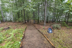 A forested area with a dirt path leading through it.