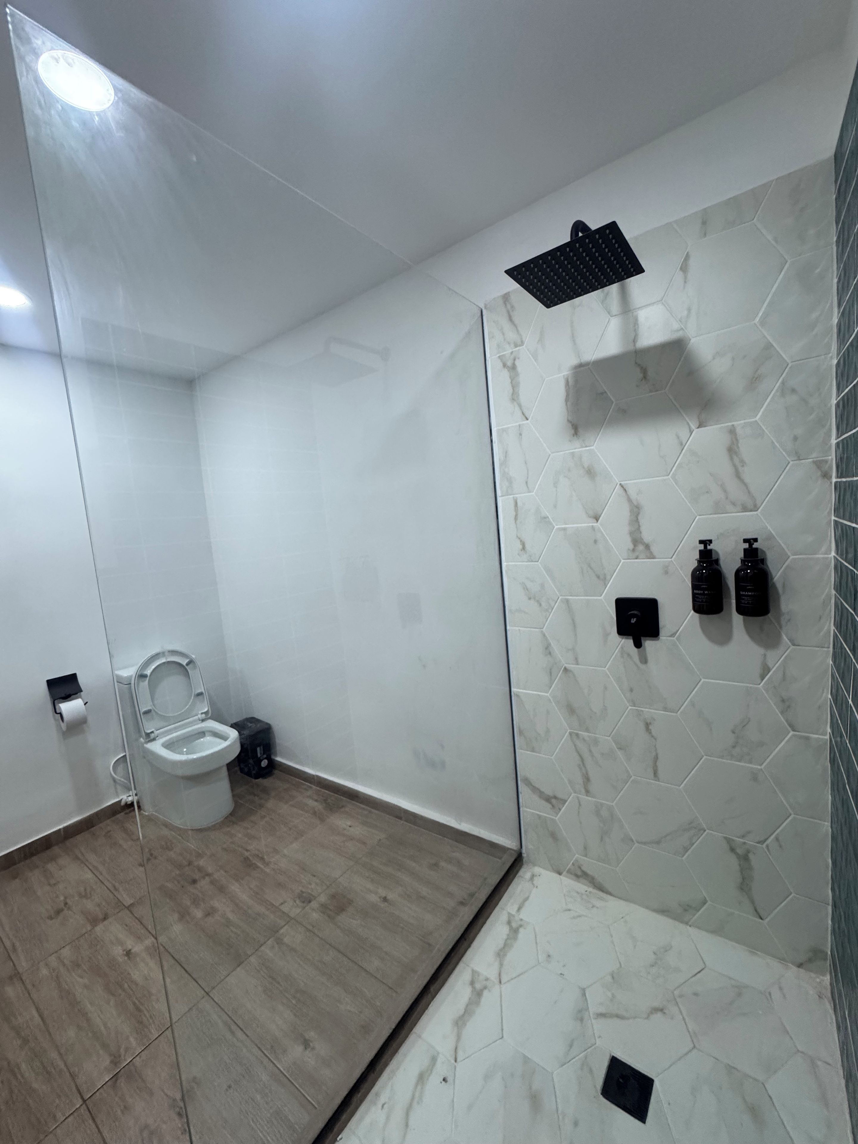 Une salle de bain avec des toilettes, une douche et un miroir.