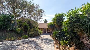 A paved pathway leading to a building with a tiled roof, surrounded by various plants and cacti.