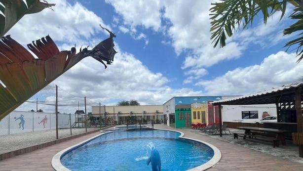 En swimmingpool med en delfinstaty, omgiven av ett trädäck och ett staket.