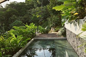 Piscina cercada por vegetação exuberante e um muro de pedra.