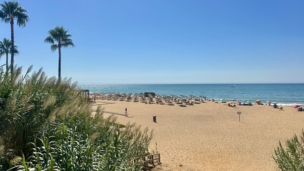 A beach with a clear sky, palm trees, and umbrellas. - Fort | Near the Beach | Sleeps 6 | Albufeira (Albufeira)
