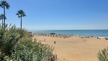 A beach with a clear sky, palm trees, and umbrellas.