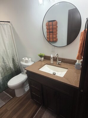 A bathroom with a toilet, sink, mirror, and towel rack. - The Back 40 Hideaway Huron, SD 5BR Getaway (Huron)