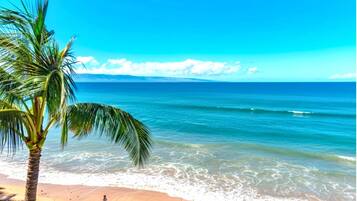 A beach with a palm tree and ocean waves.