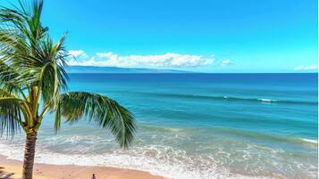 A beach with clear blue water, a palm tree, and a person walking on the sand.