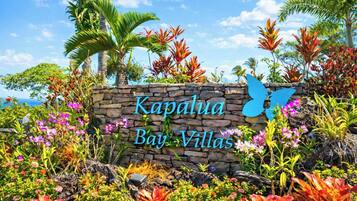 A stone sign with 'Kapalua Bay Villas' written on it, surrounded by tropical plants and palm trees.