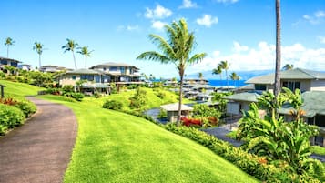 A resort with multiple buildings, a well-maintained lawn, and palm trees.