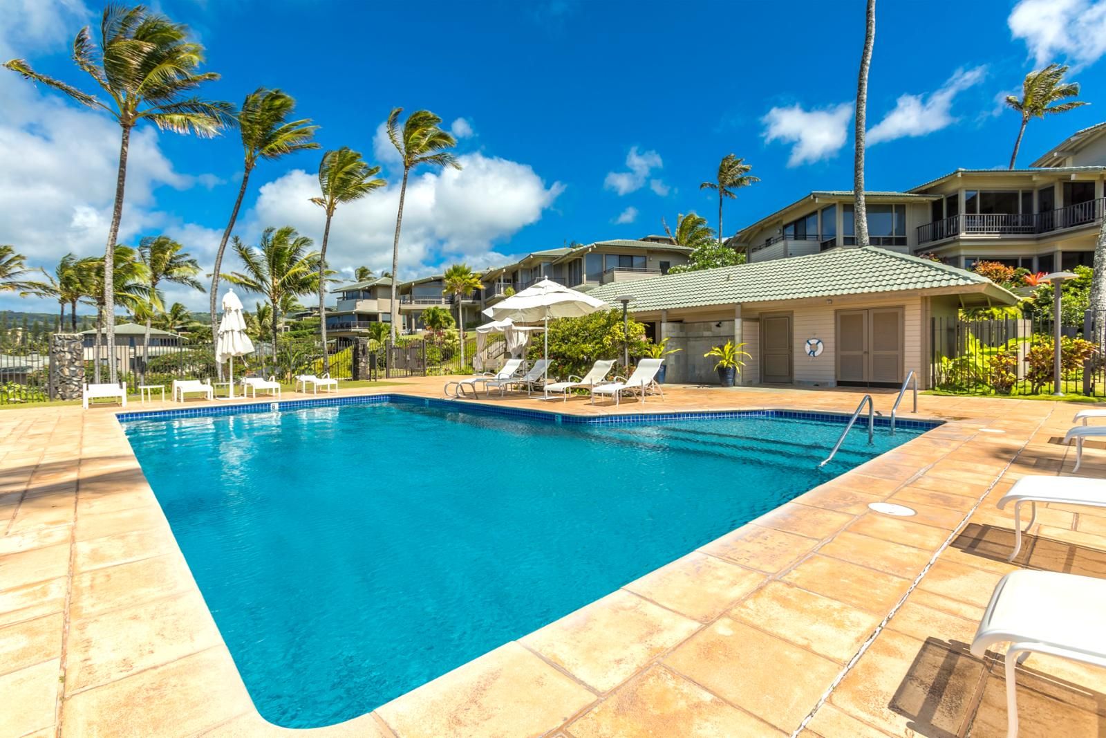 Une piscine rectangulaire à l’eau d’un bleu limpide, entourée de chaises longues et de parasols, avec en arrière-plan des palmiers et un immeuble à plusieurs étages.