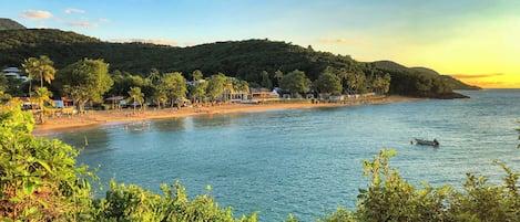 A coastal beach with a row of beach houses and palm trees.