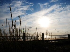 A beach scene with tall grasses in the foreground and a clear sky with the sun setting or rising in the background. - Holiday Home With 4 Bedrooms (St. Peter-Ording)
