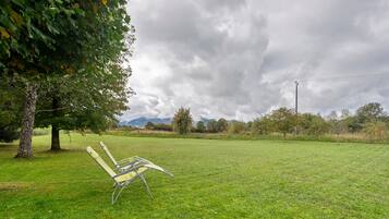 A grassy field with a bench and a tree.