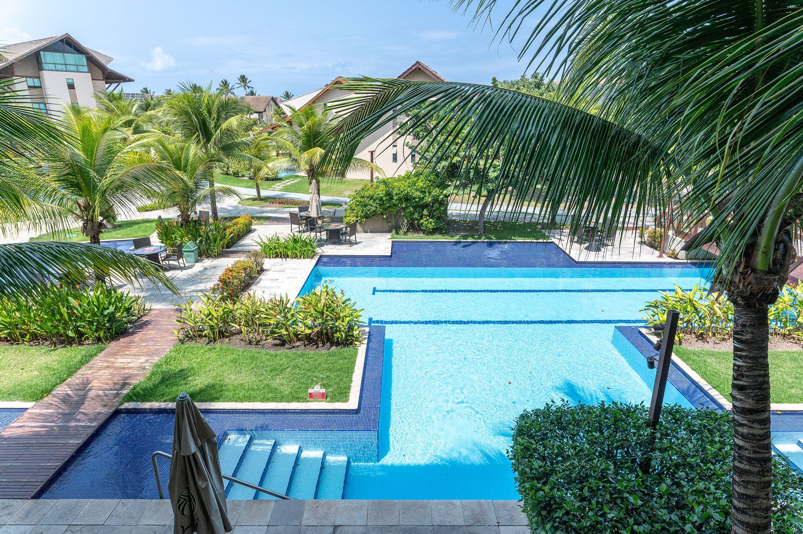 A swimming pool with multiple lanes, surrounded by palm trees and a grassy area.