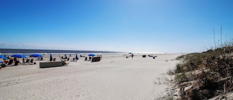 A sandy beach with blue umbrellas and beach chairs.