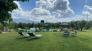 Uma área ao ar livre com gramado, cadeiras de lounge, piscina e guarda-sóis.