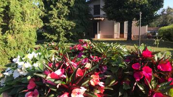 A garden with a variety of flowers and a building in the background.