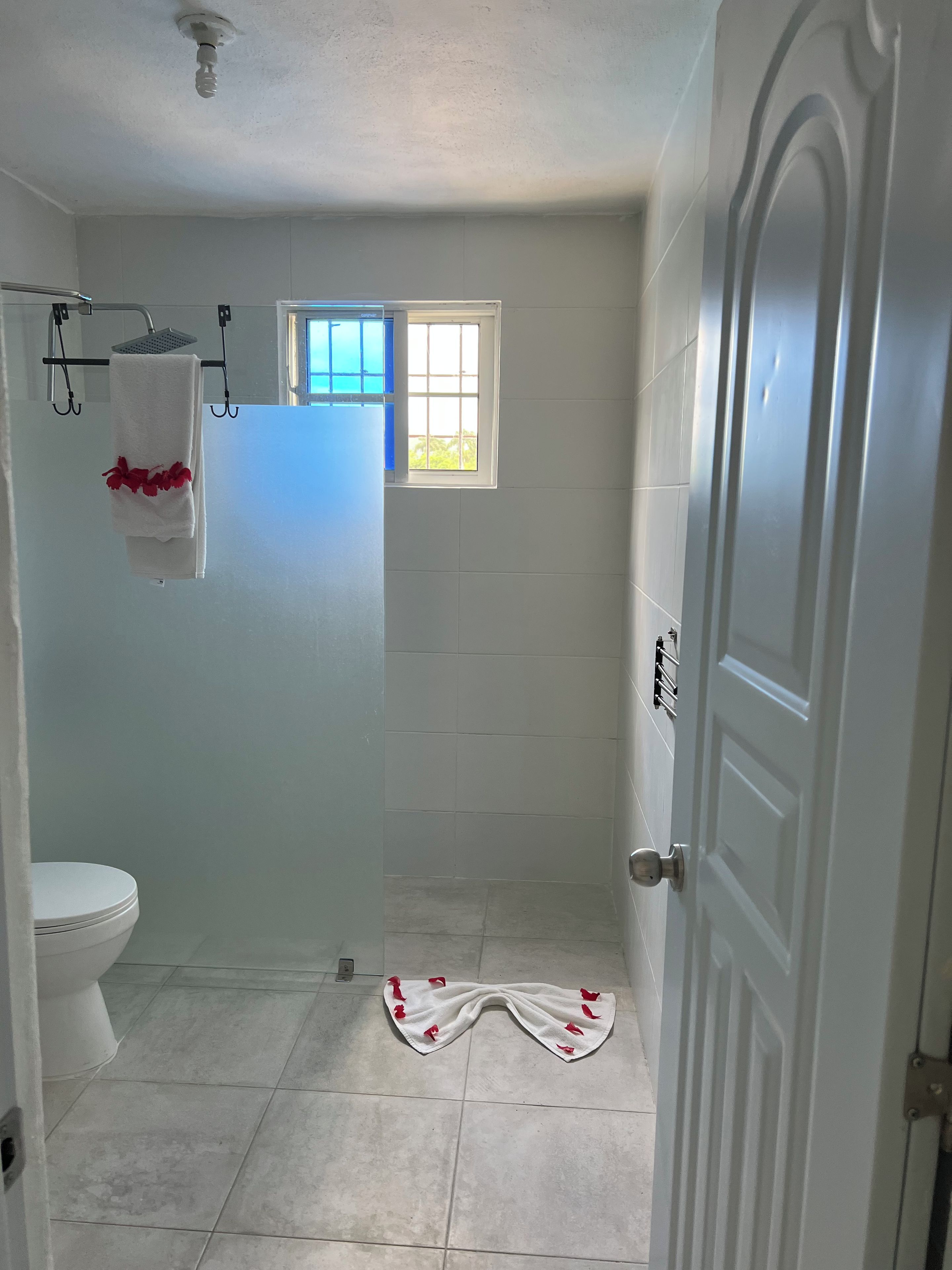 Une salle de bain comprenant des toilettes, un espace douche et une fenêtre.