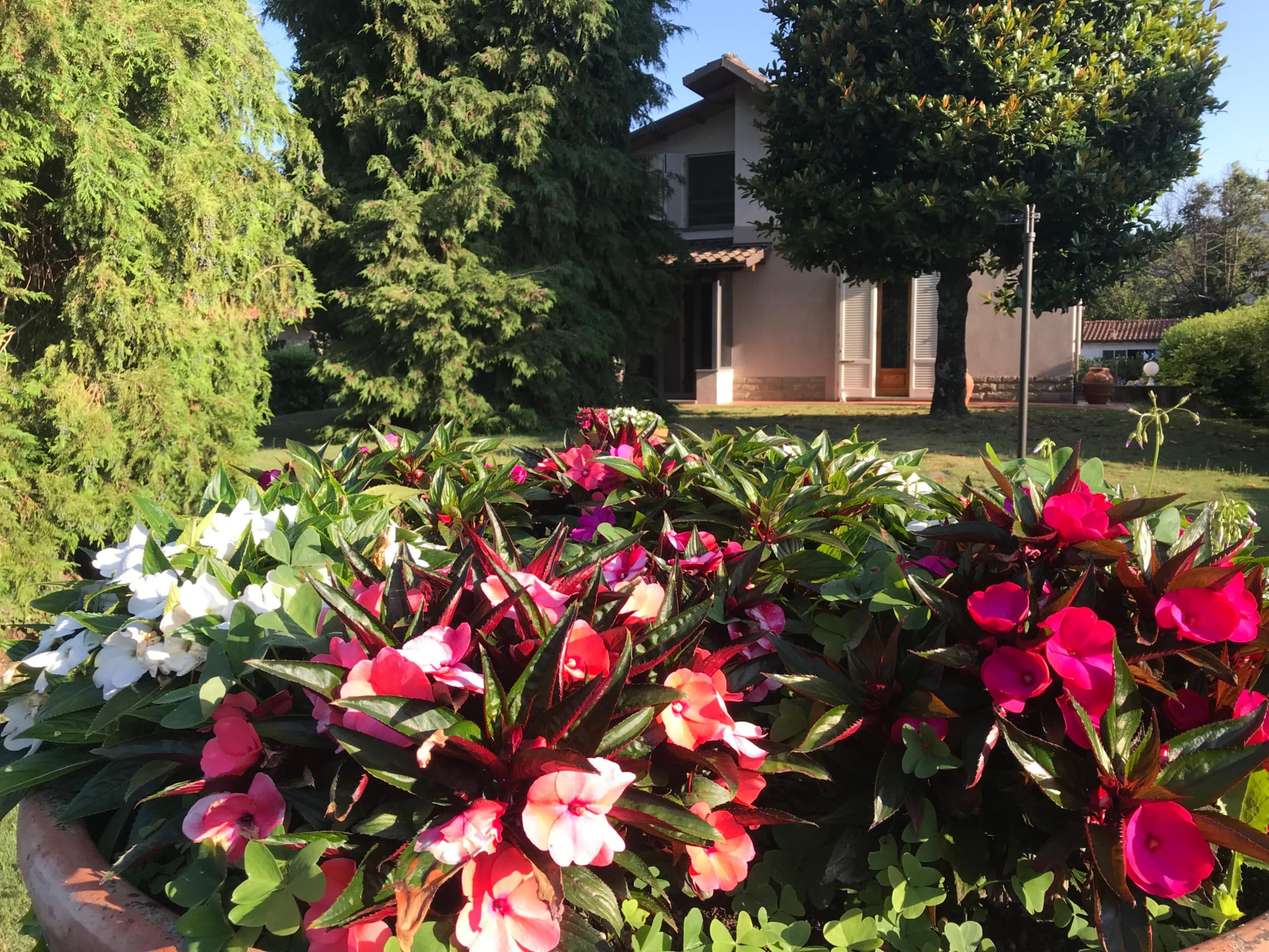 Ein Garten mit verschiedenen Blumen und einem Gebäude im Hintergrund.