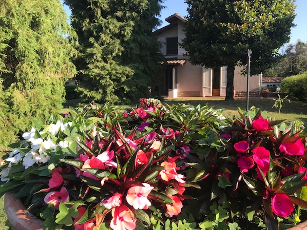 Ein Garten mit verschiedenen Blumen und einem Gebäude im Hintergrund.
