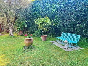 Ein Garten mit einer Bank, Blumentöpfen und einer Hecke.