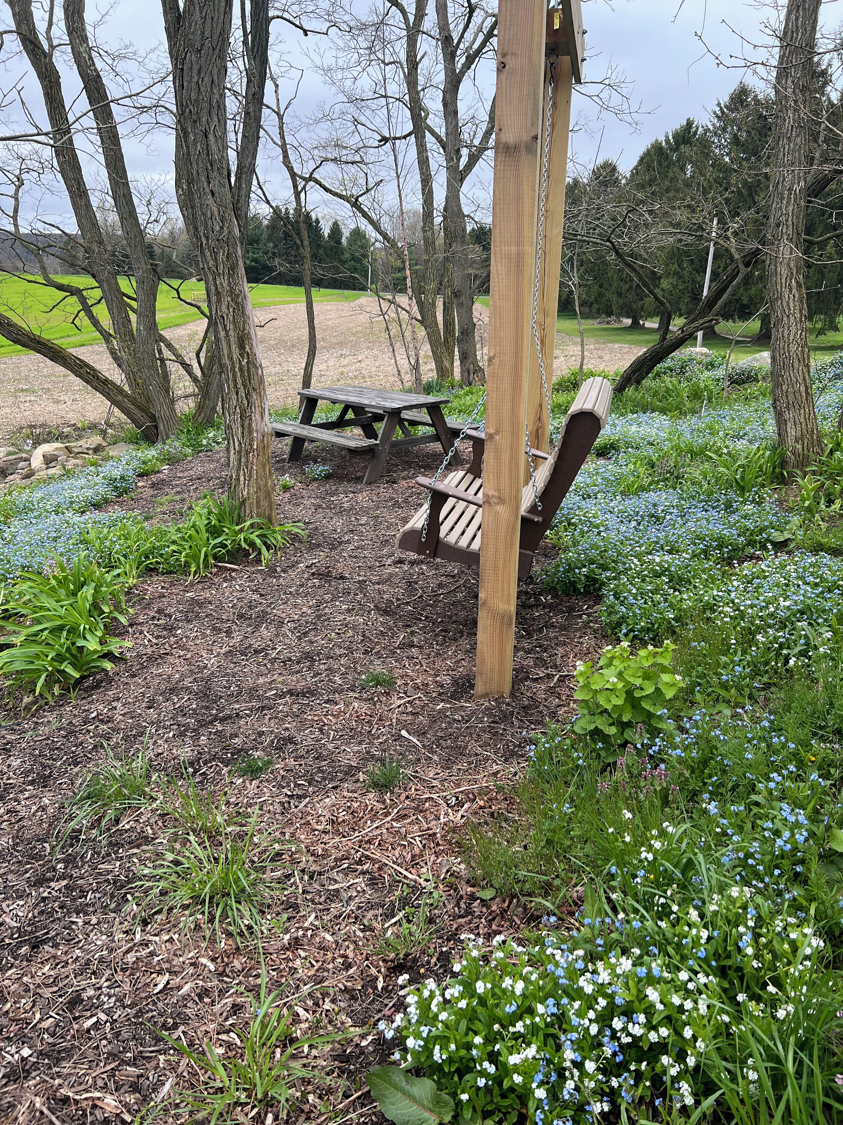 A wooden swing set in a park with a picnic table nearby.