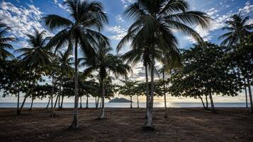 Uma praia com palmeiras e vista para o oceano.