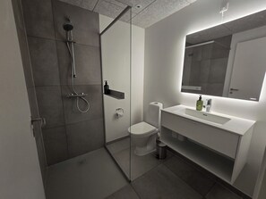 Ein modernes Badezimmer mit einer Duschkabine, einer Toilette und einem Waschtisch mit Spiegel.