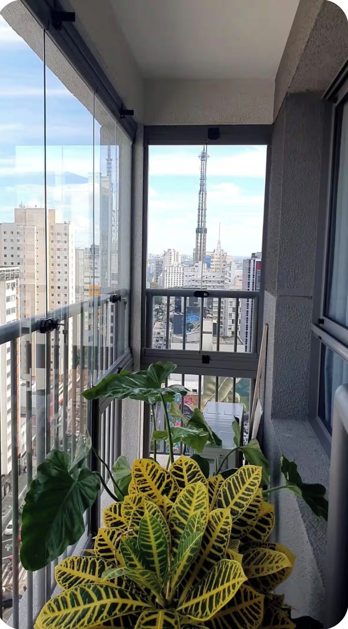 Un balcon offrant une vue sur le paysage urbain, avec notamment une haute tour, ainsi que des plantes en pot aux feuilles jaunes et vertes.