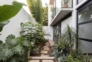 Een smal pad, omzoomd door grote tropische planten, leidt naar een modern gebouw met grote ramen.