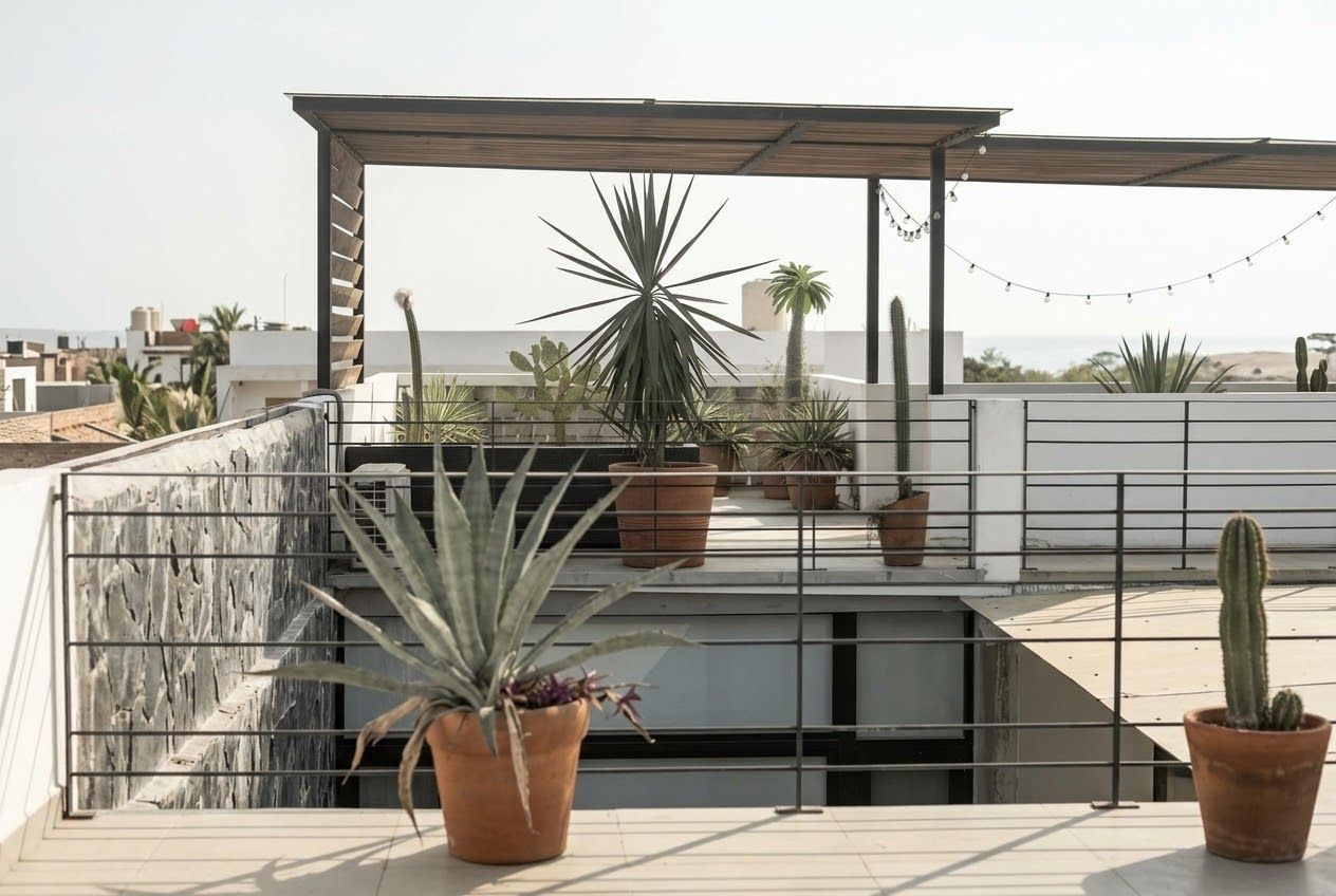 A rooftop terrace with potted plants, a pergola, and a view of the cityscape.