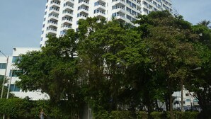 A high-rise building with multiple balconies and a clear sky. - Vrbo Property (Cartagena de Indias)