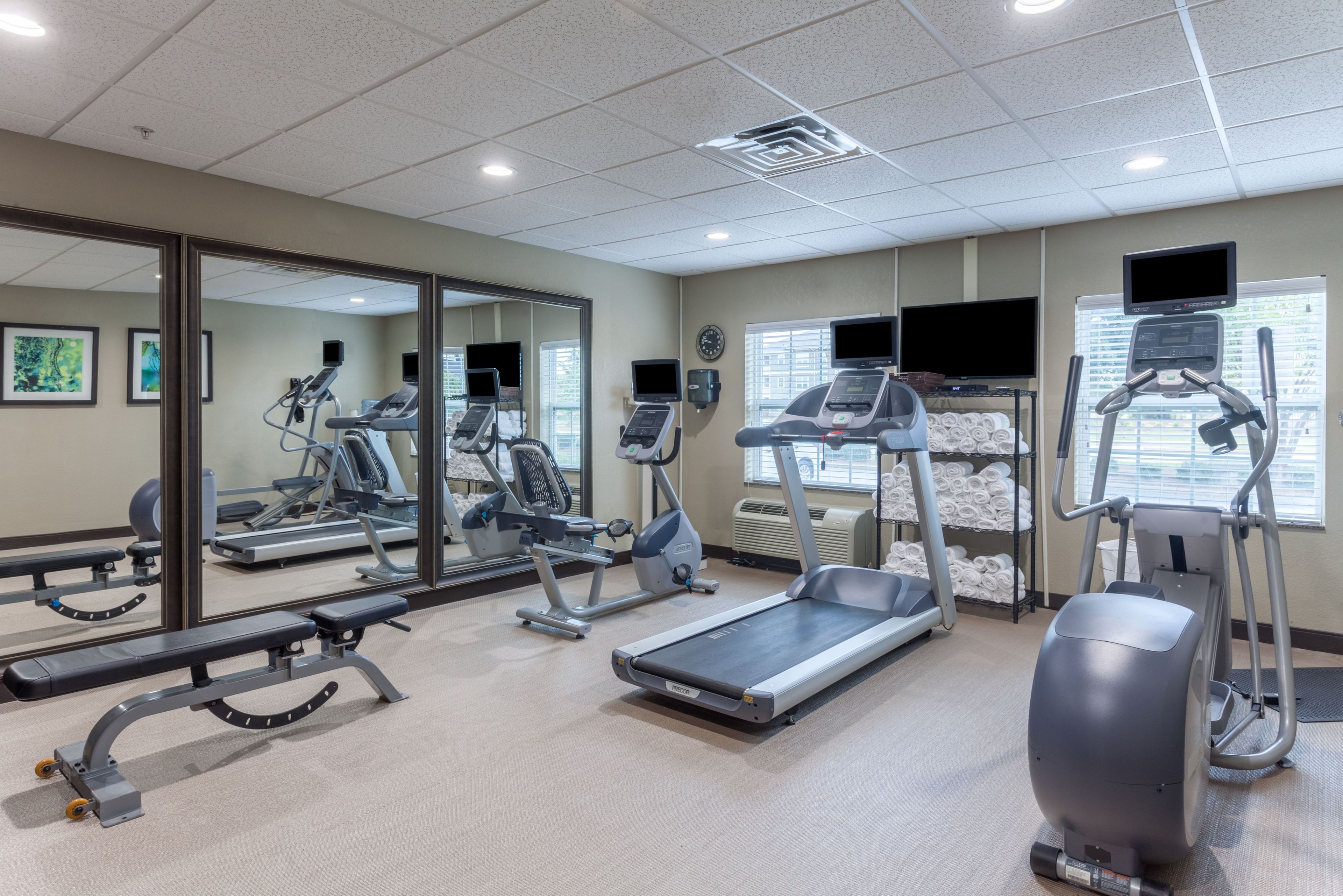 A gym with treadmills, elliptical machines, and weight benches.