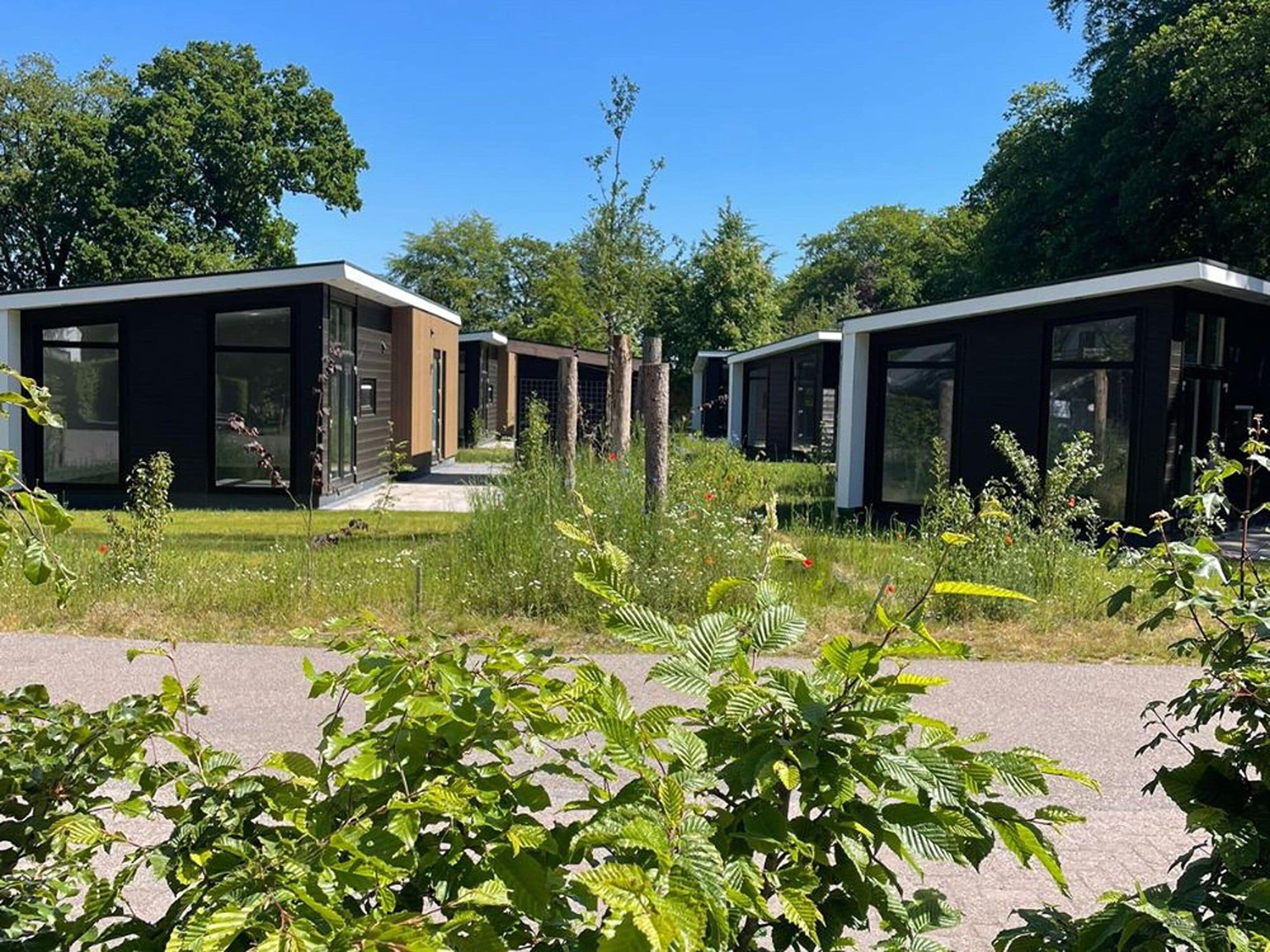 Uma fileira de cabanas modernas térreas, com grandes janelas, rodeada por vegetação exuberante e árvores.