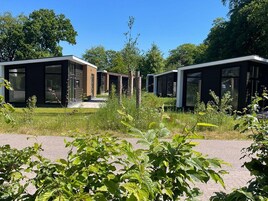 Una hilera de cabañas modernas de una sola planta con ventanas amplias, rodeadas de abundante vegetación y árboles.
