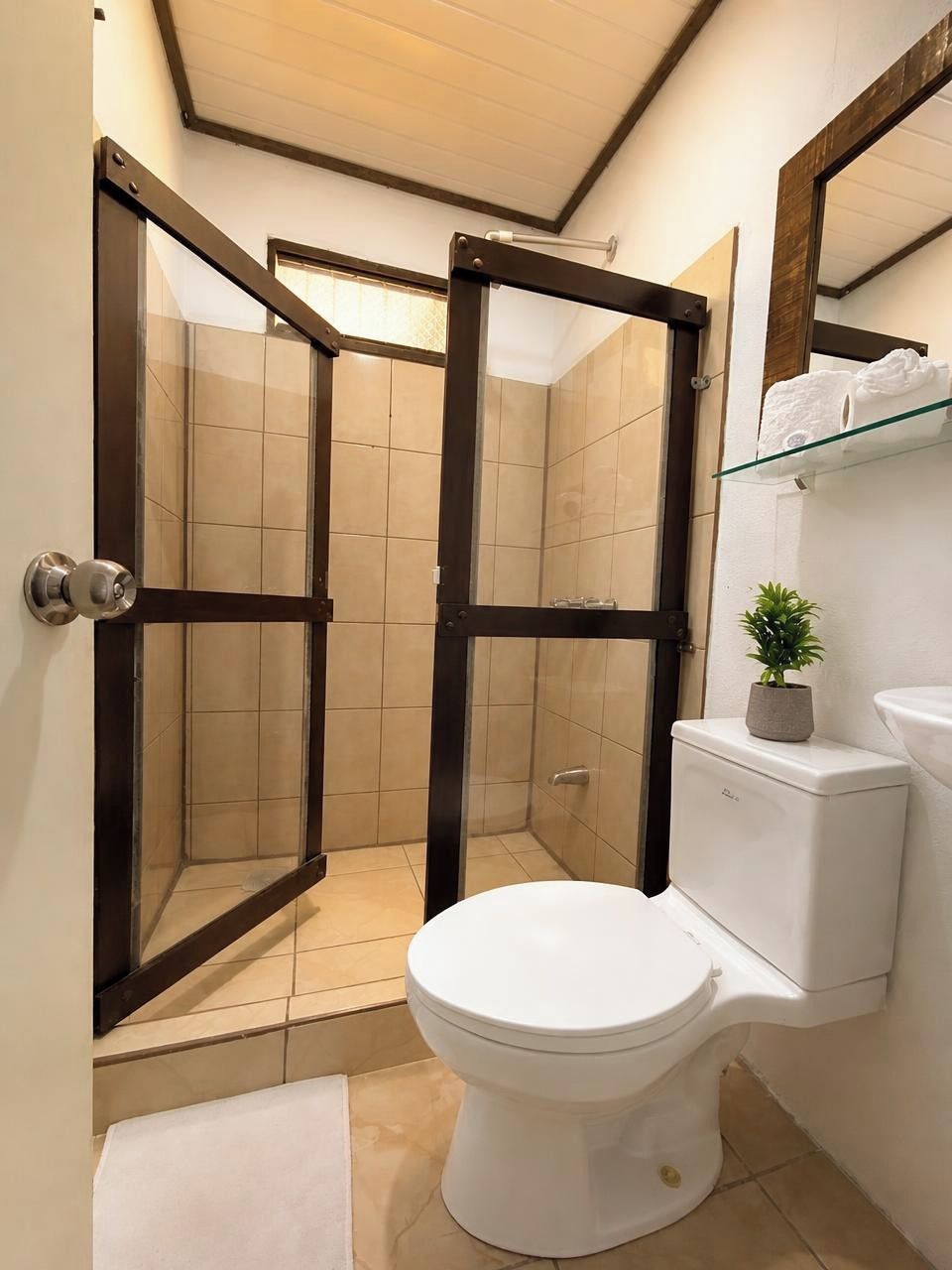 Un baño con cabina de ducha de vidrio, inodoro y una pequeña planta en maceta.