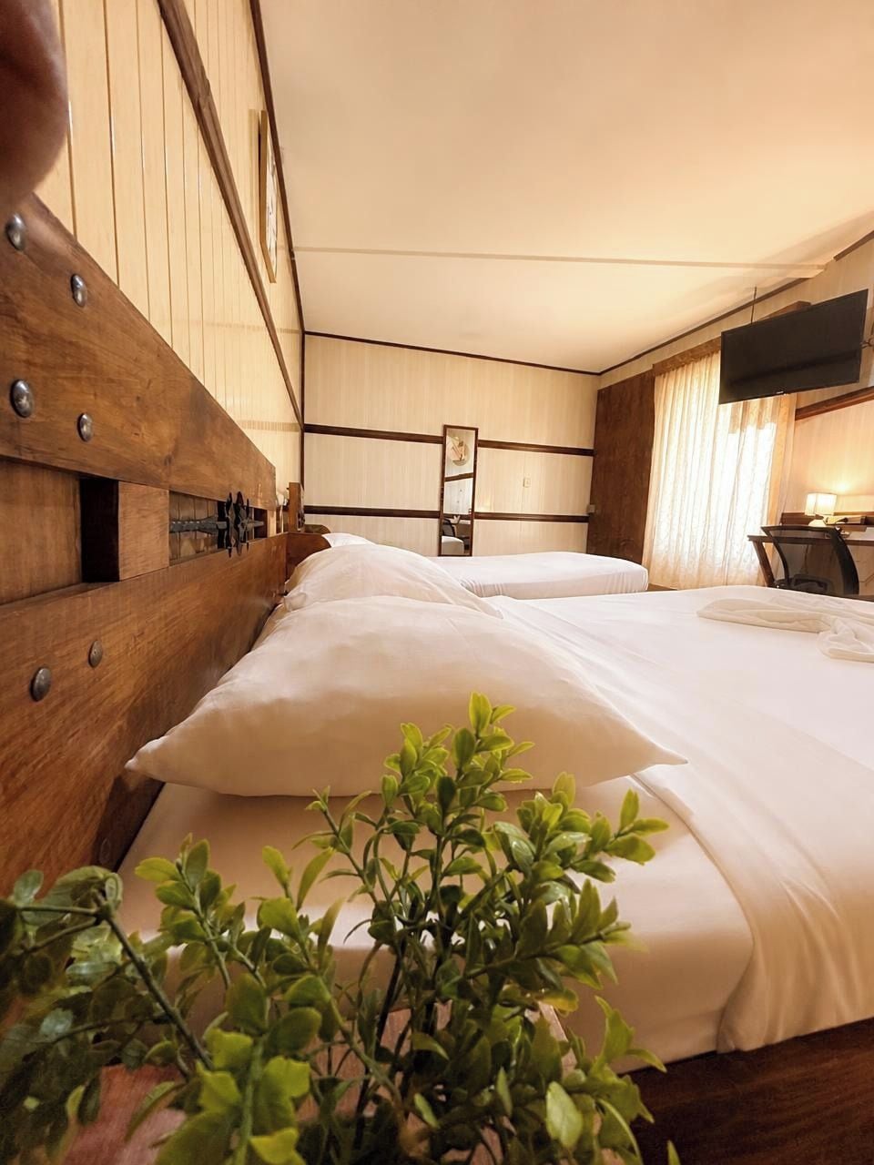 Habitación de hotel con dos camas, cabecero de madera, una planta, un espejo y un televisor en la pared.