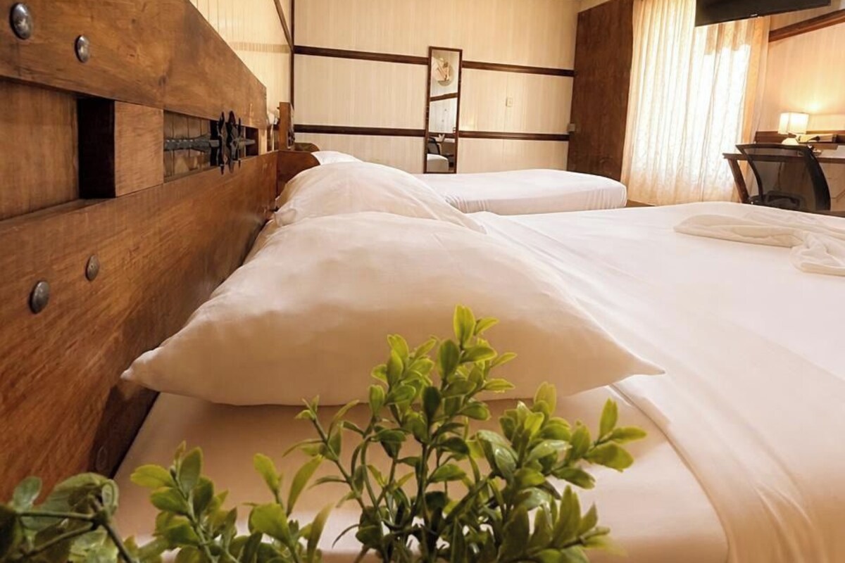 A hotel room with two beds, wooden headboard, a plant, a mirror, and a television on the wall.